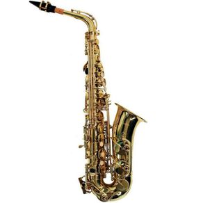 Shelter - Saxofone Alto SFT6430L