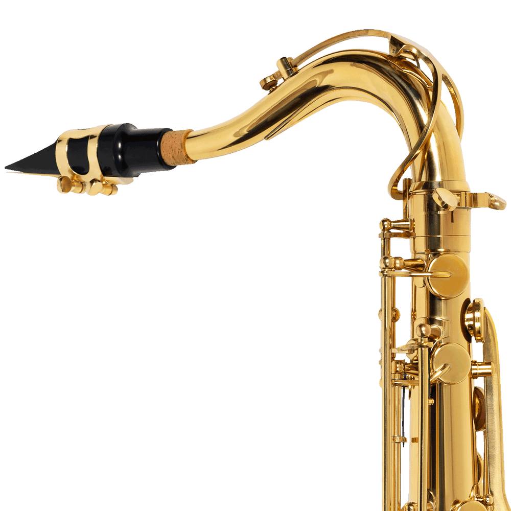 sax-tenor-michael-wtsm30n-4