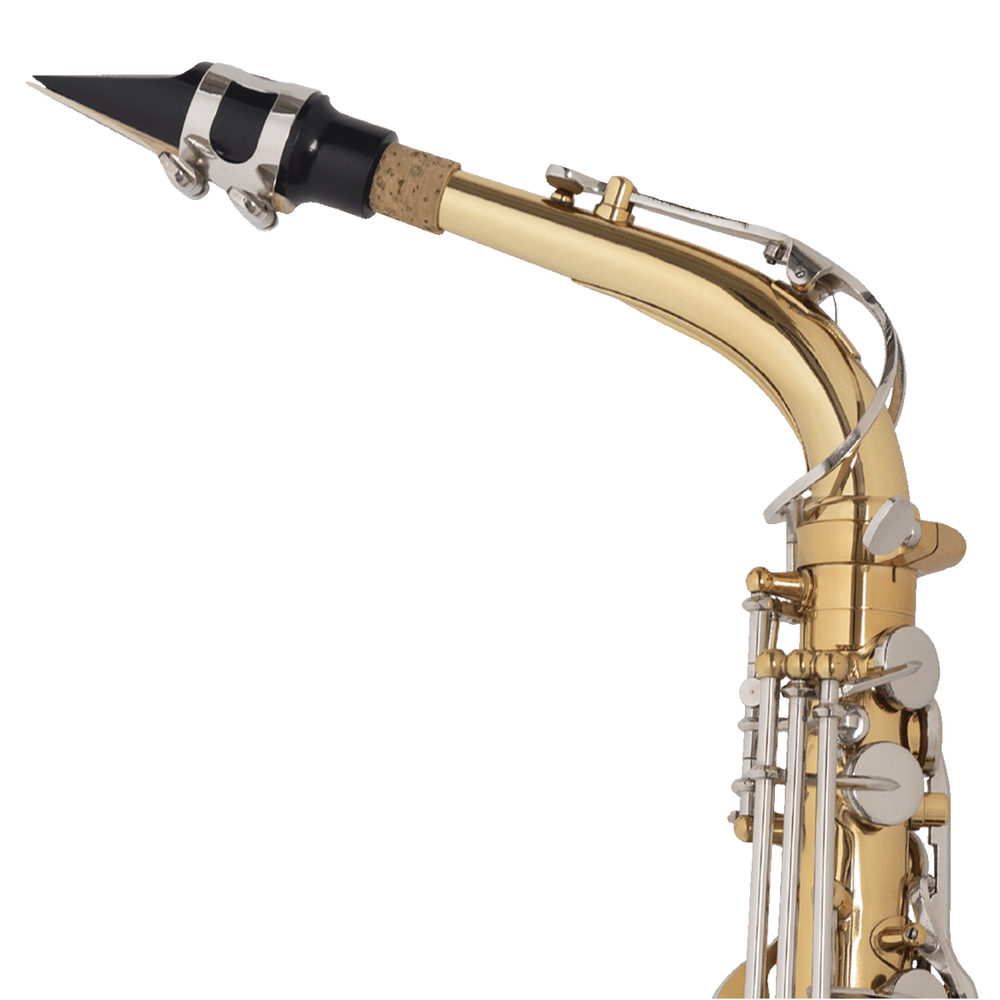 sax-alto-michael-wasm32-1