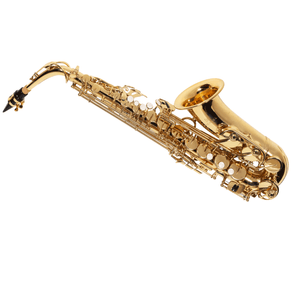 sax-alto-michael-wasm30n