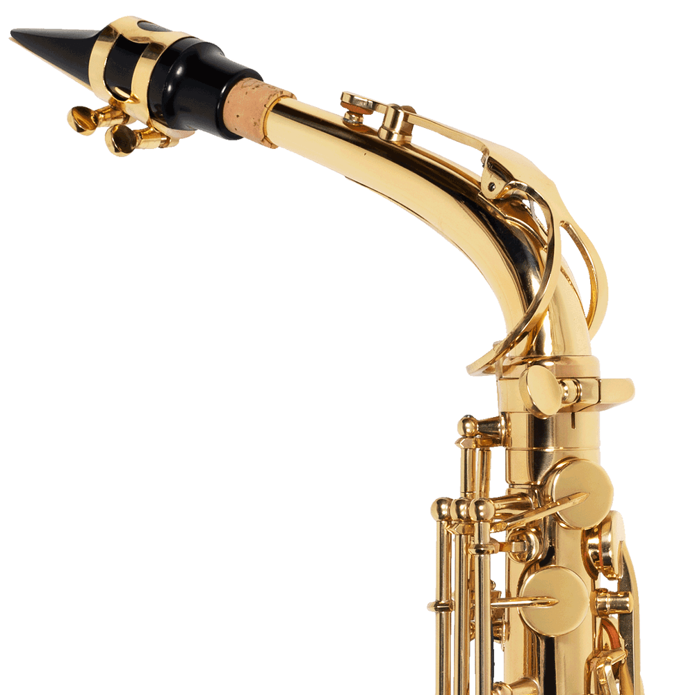 sax-alto-michael-wasm30n-1