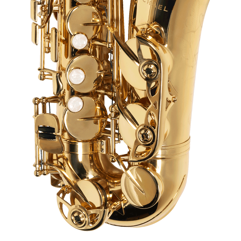 sax-alto-michael-wasm30n-4